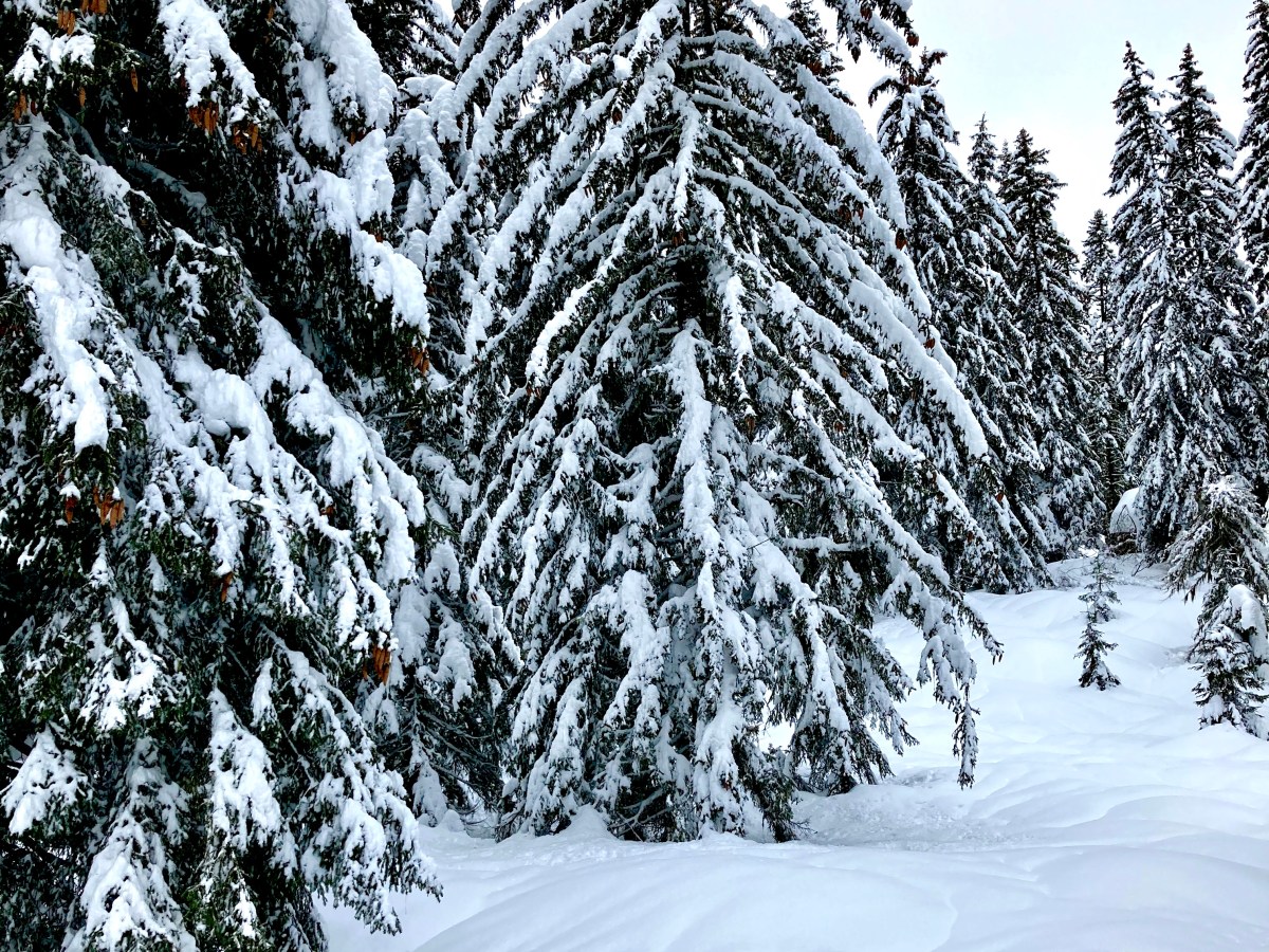 ET SI ON PARTAIT 4-5&nbsp;JOURS?