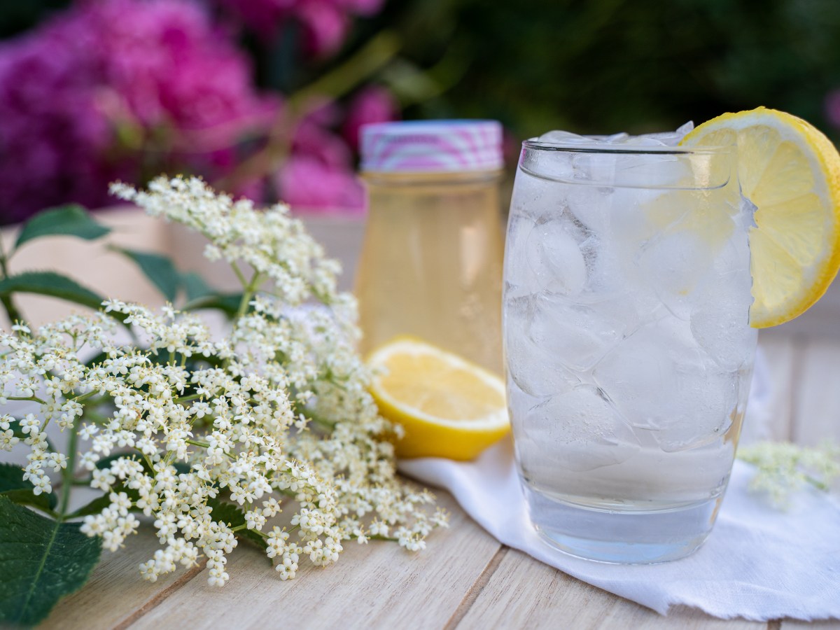 SIROP DE FLEURS DE&nbsp;SUREAU